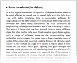 Scale invariance [in vision]