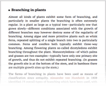Branching in plants
