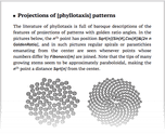 Projections of [phyllotaxis] patterns