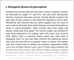 Biological [forms of] perception