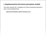 Implementation [of texture perception model]