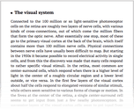 The visual system