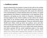 Auditory system