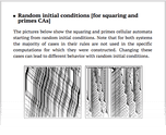 Random initial conditions [for squaring and primes CAs]