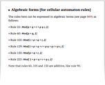 Algebraic forms [for cellular automaton rules]