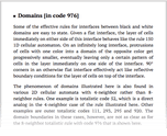 Domains [in code 976]