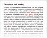 History [of shell models]