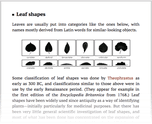 Leaf shapes