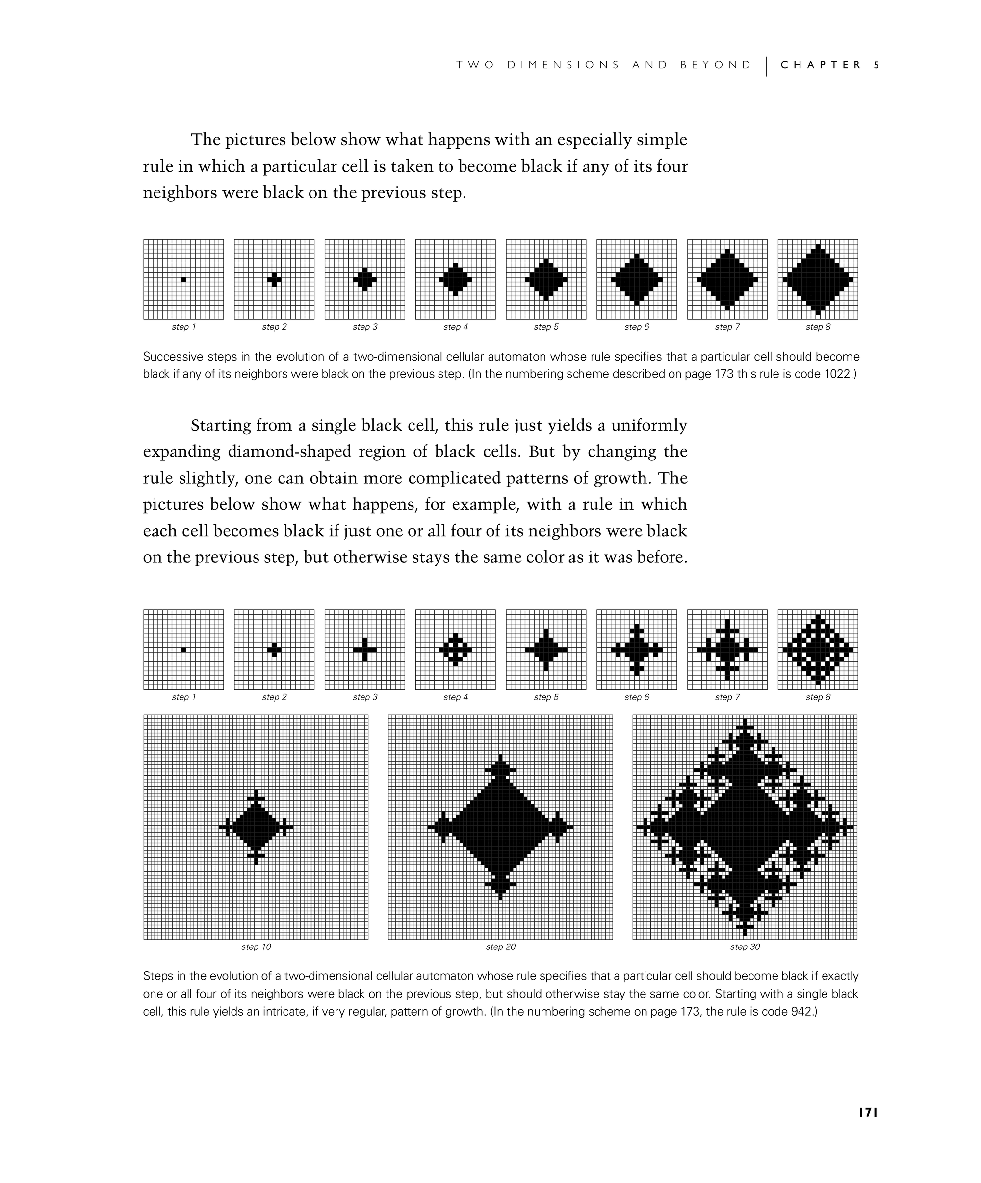 Page 171: Cellular Automata