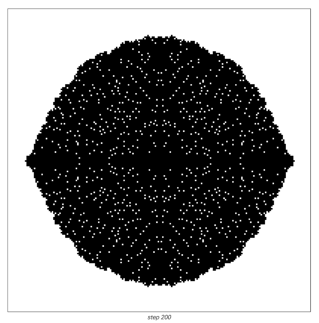 A two-dimensional cellular automaton that yields a pattern with a rough surface 3