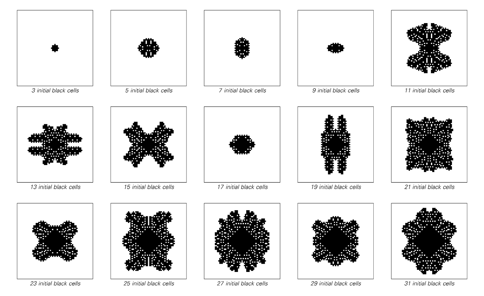 Patterns produced by evolution