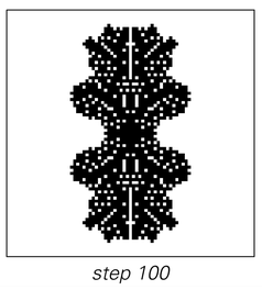Stages of cellular automaton evolution
