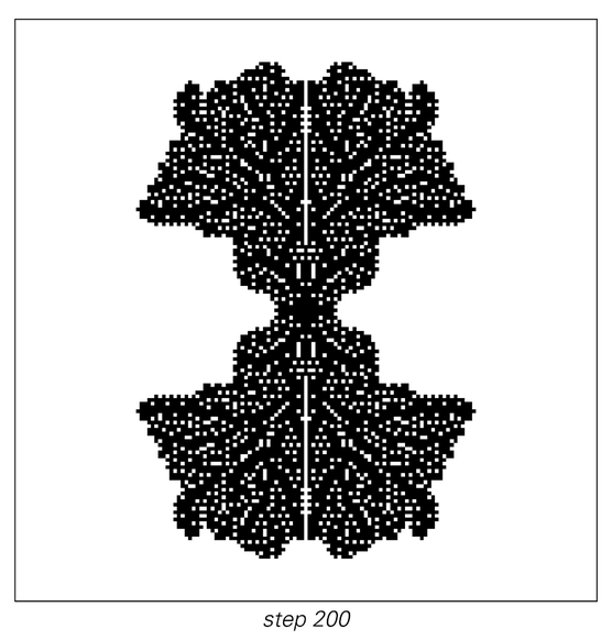 Stages of cellular automaton evolution 2