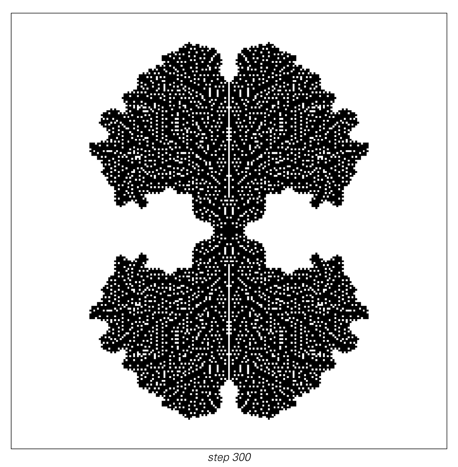 Stages of cellular automaton evolution 3