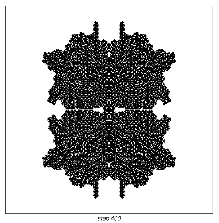 Stages of cellular automaton evolution 4