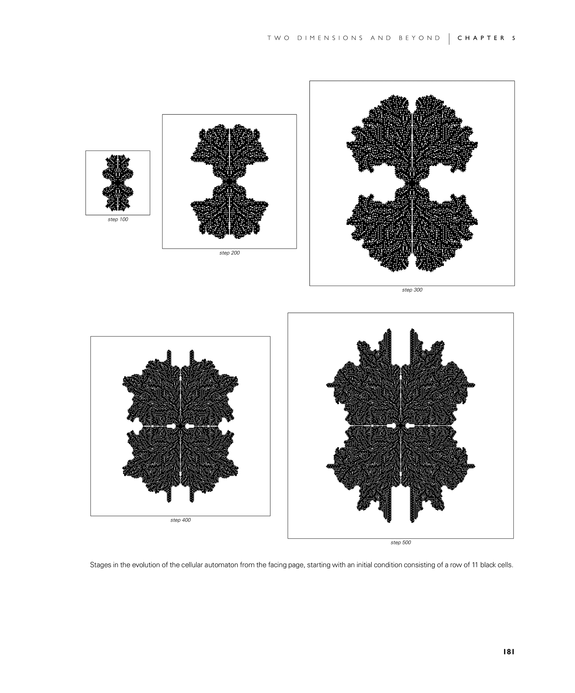 Page 181: Cellular Automata
