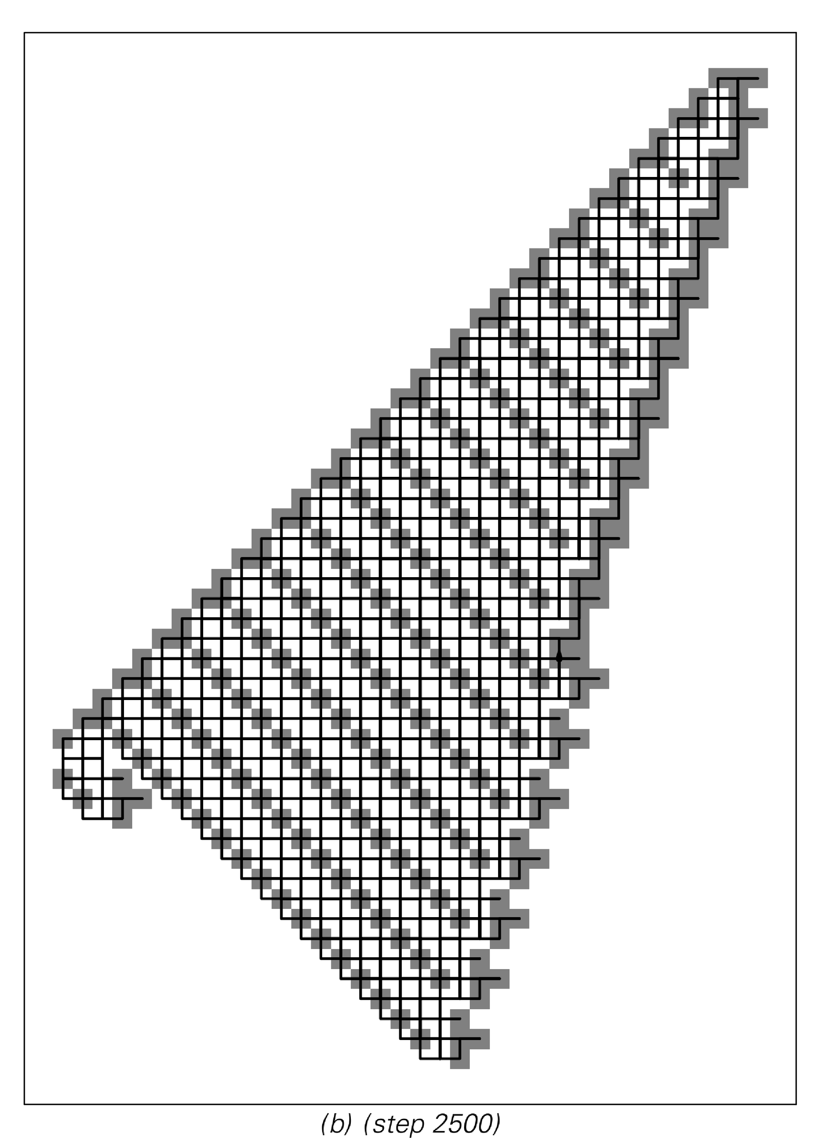 Examples of patterns produced by two-dimensional Turing machines 2