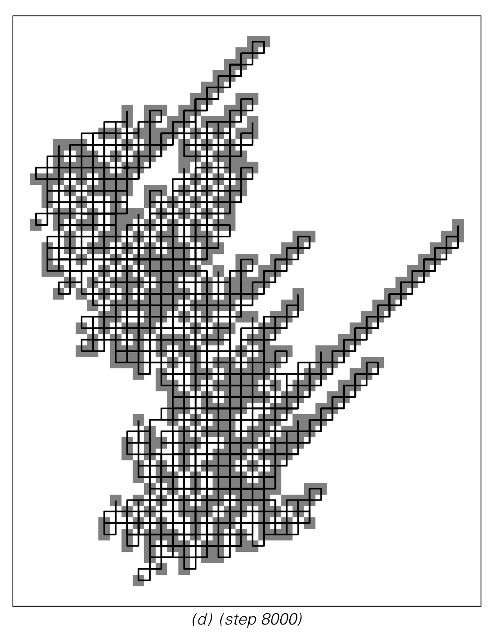Examples of patterns produced by two-dimensional Turing machines 3