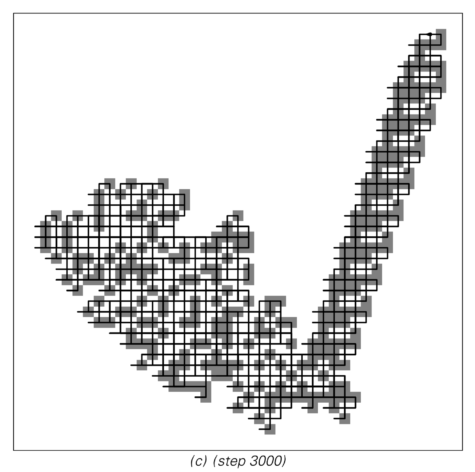 Examples of patterns produced by two-dimensional Turing machines 4