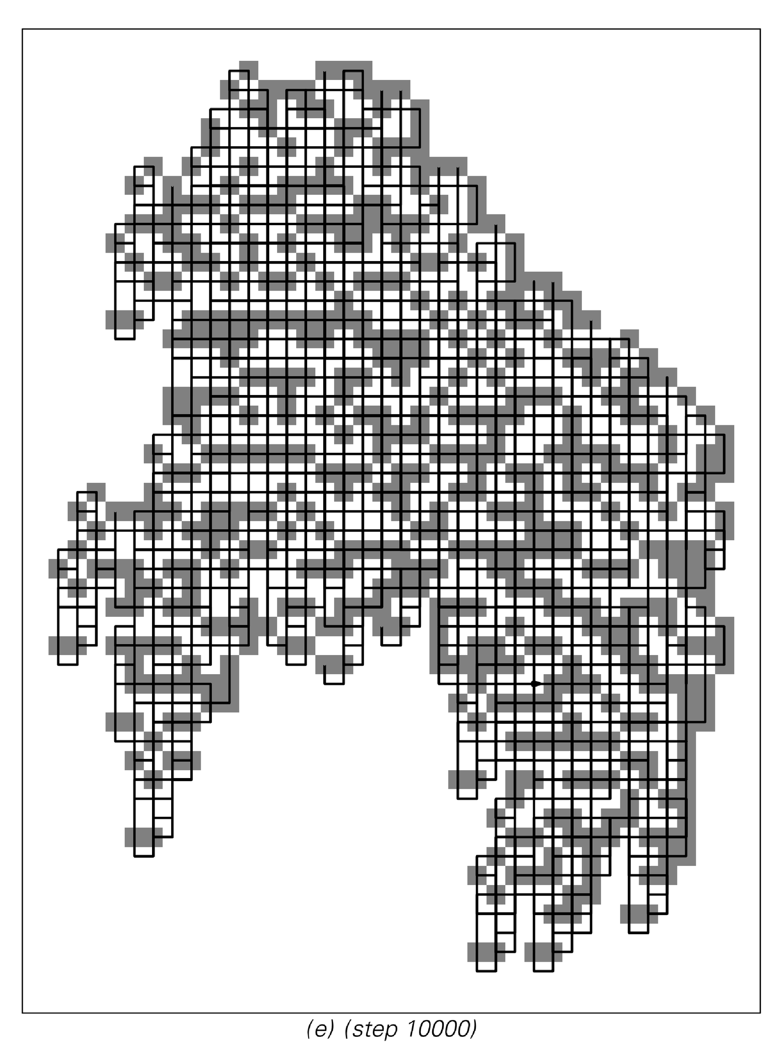 Examples of patterns produced by two-dimensional Turing machines 5