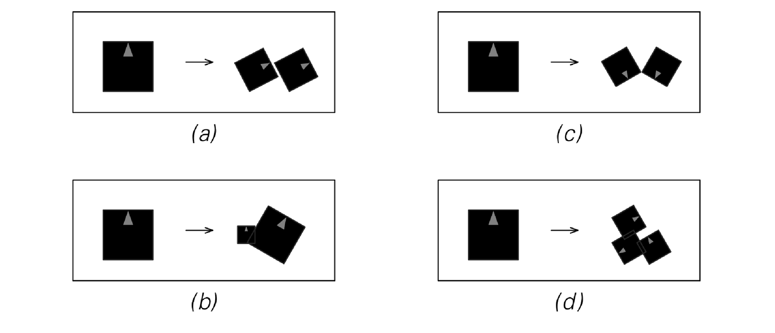 Examples of fractal patterns produced by repeatedly applying the geometrical rules shown 4