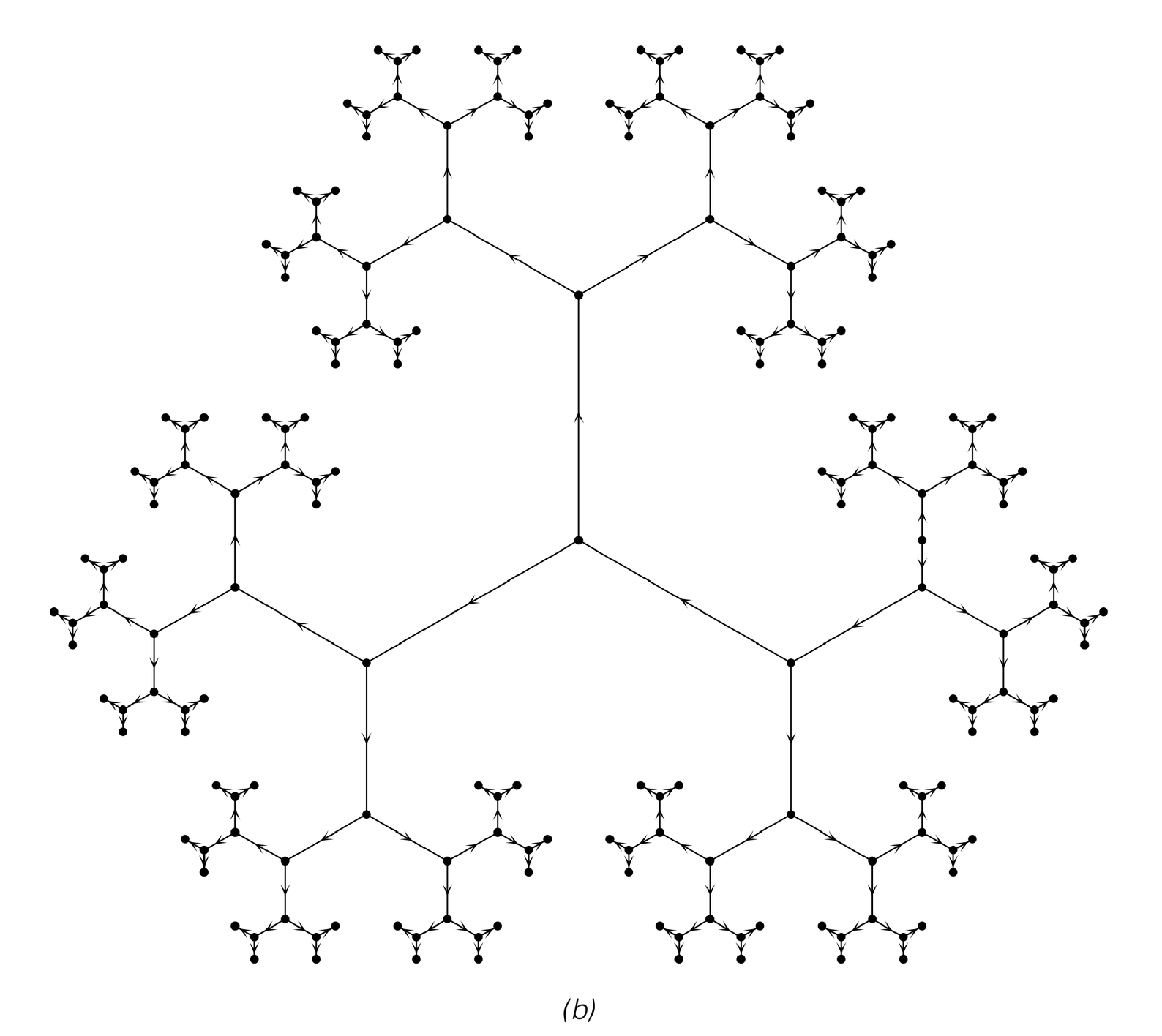 Networks corresponding to infinite trees 2
