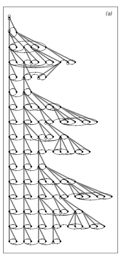 Network systems with rules depending on the number of distinct nodes
