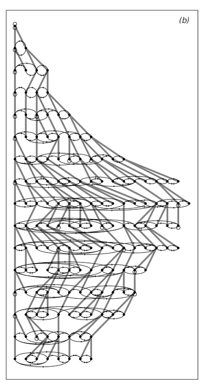 Network systems with rules depending on the number of distinct nodes 2
