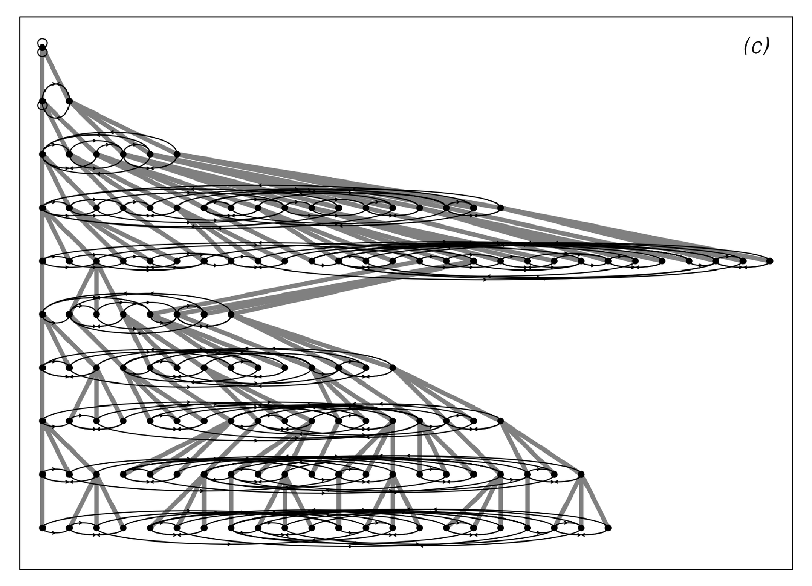 Network systems with rules depending on the number of distinct nodes 3