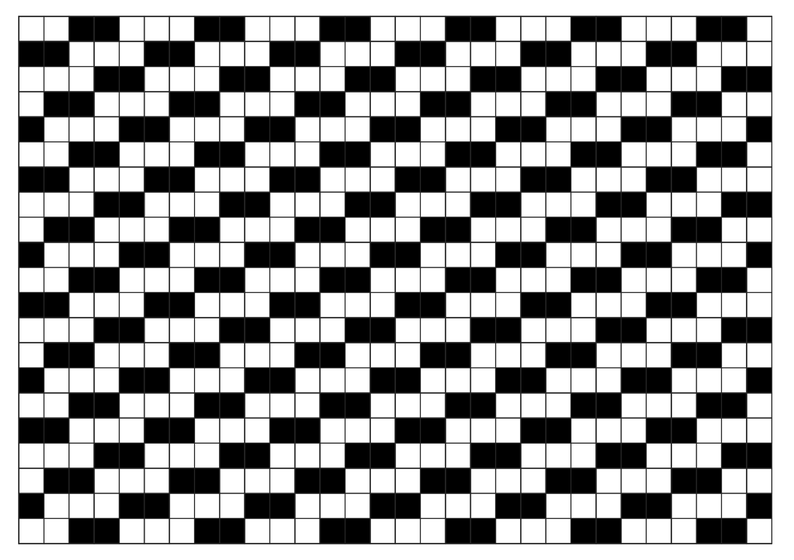 System made of black and white cells 2
