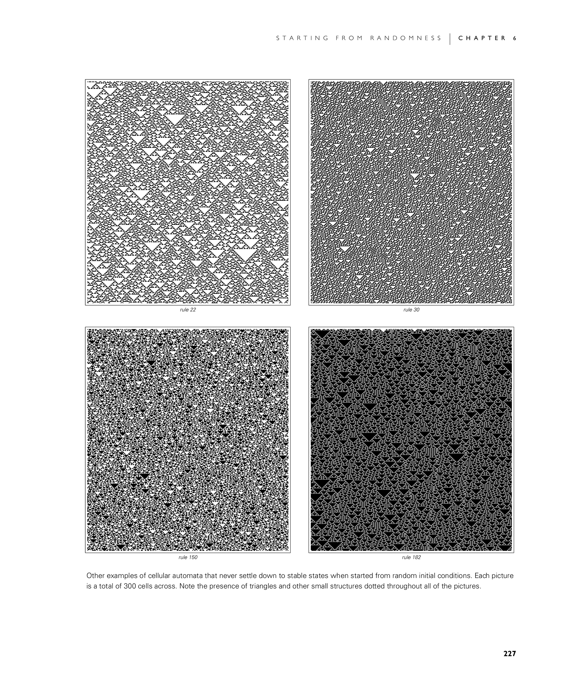 Page 227: The Emergence of Order