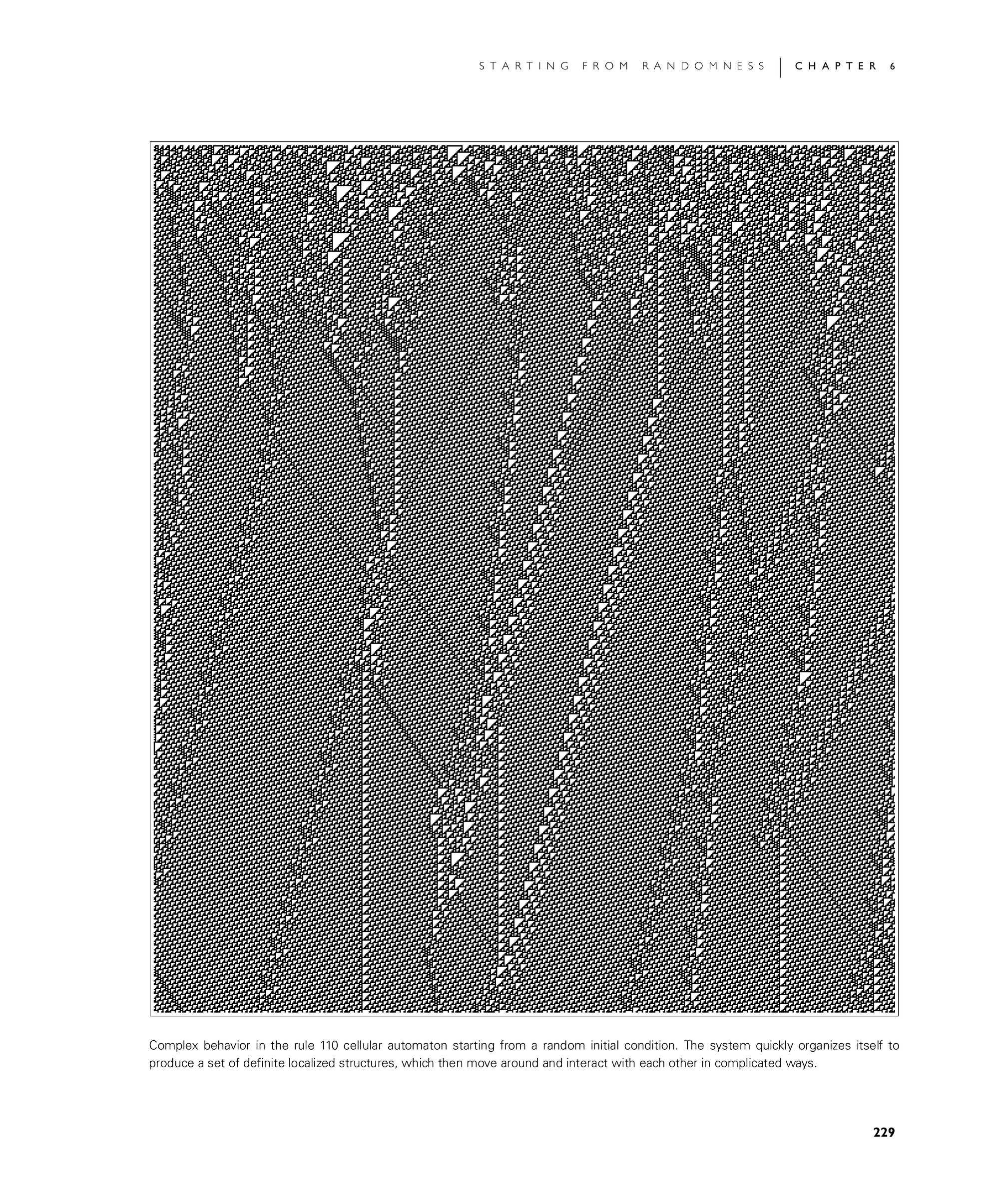 Page 229: The Emergence of Order
