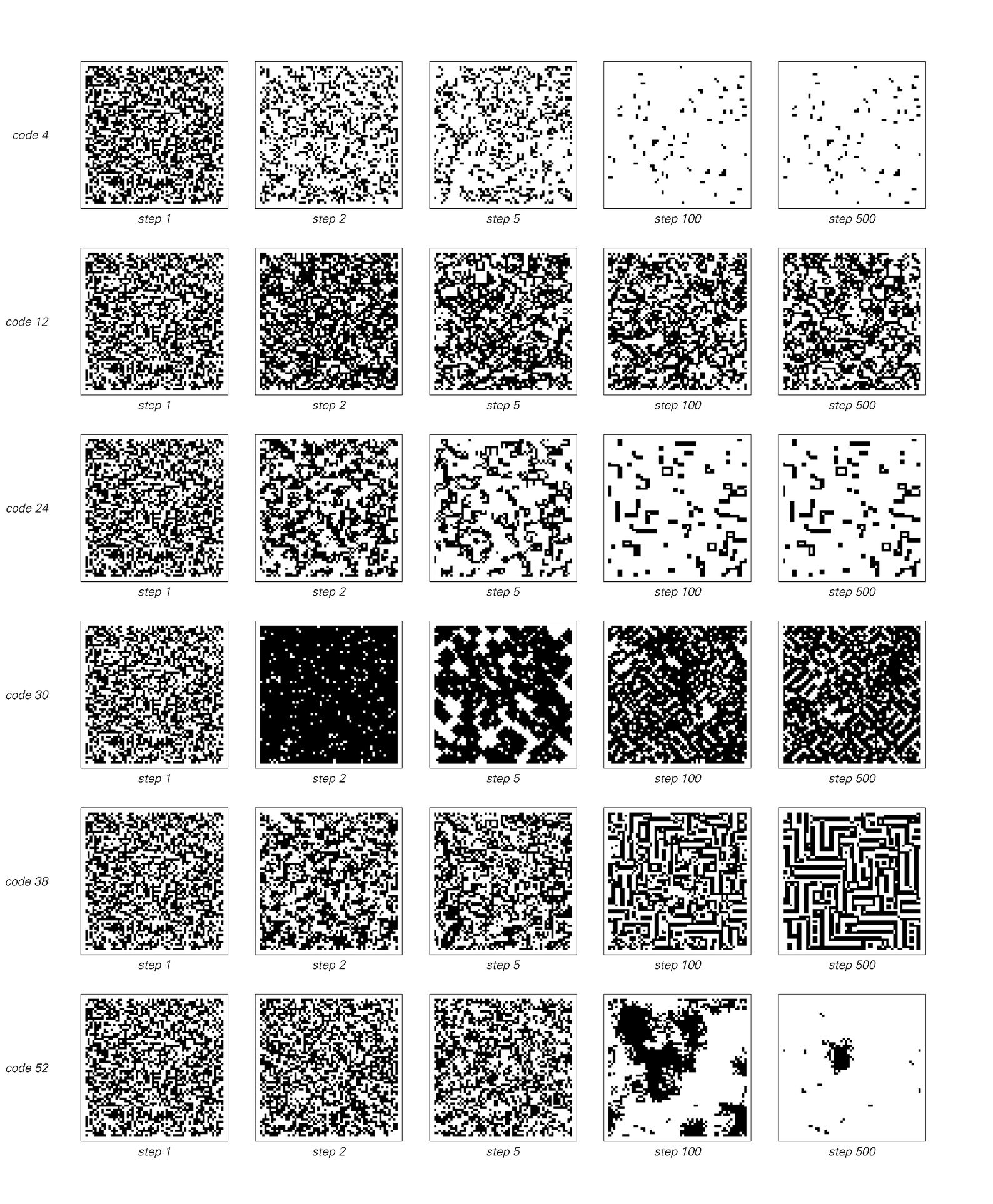 Evolution of two-dimensional cellular automata