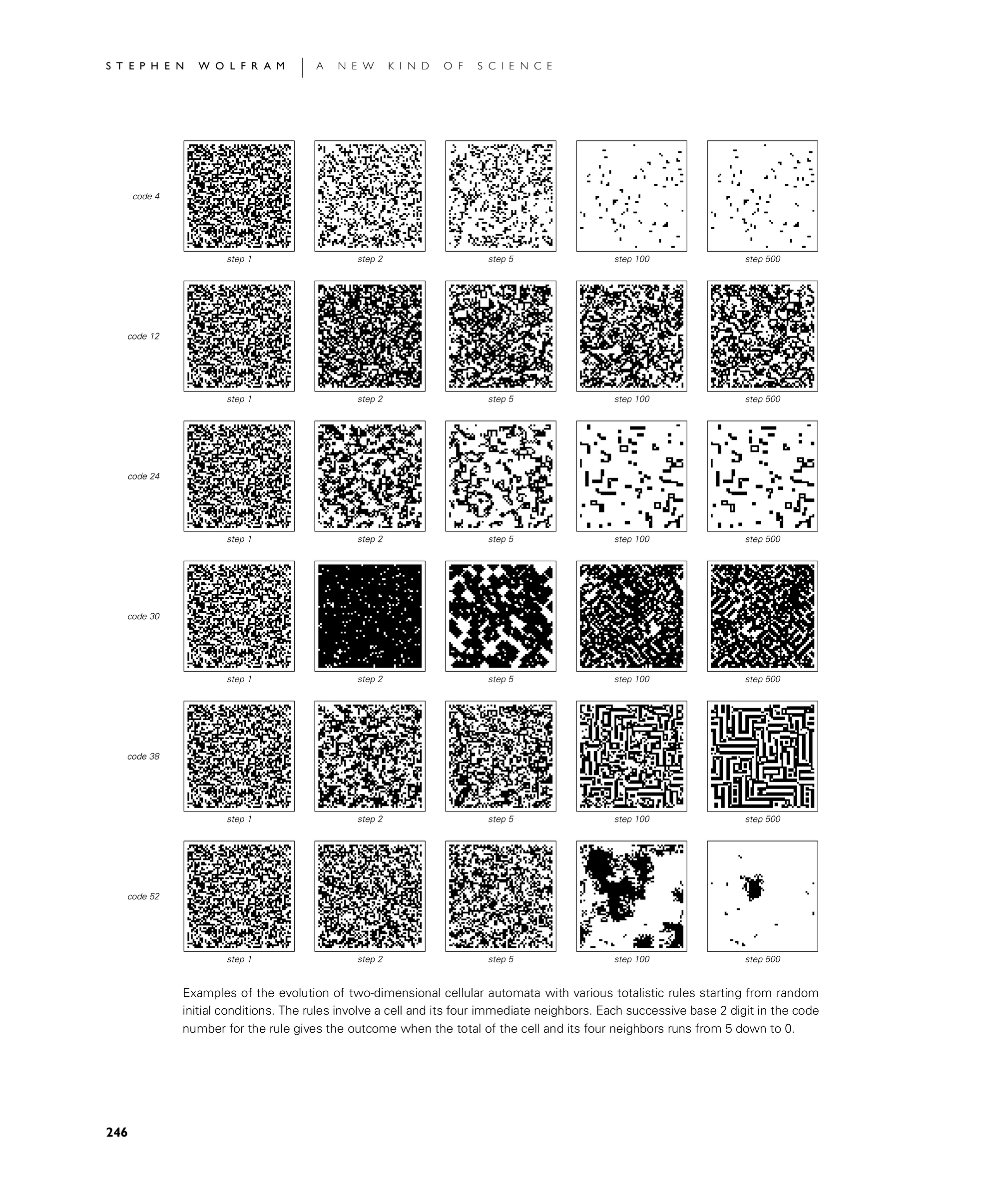 Page 246: Four Classes of Behavior