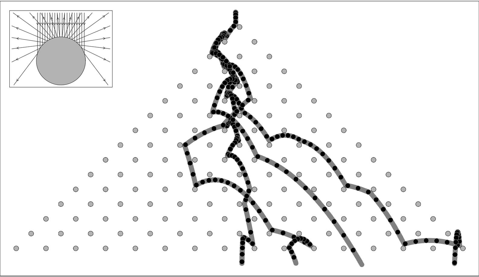 Paths followed by four dropped idealized balls