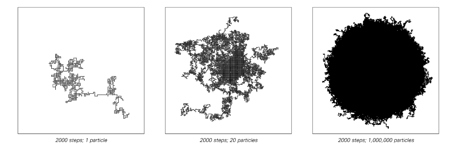 Random walks on square and hexagonal lattices 2