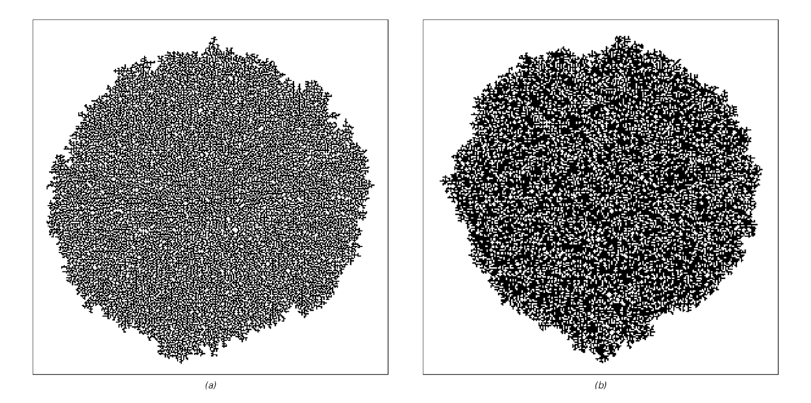 Patterns produced by generalized aggregation models