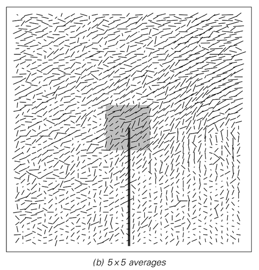 A simple cellular automatons ystem set up to emulate the microscopic behavior of molecules in a fluid 3