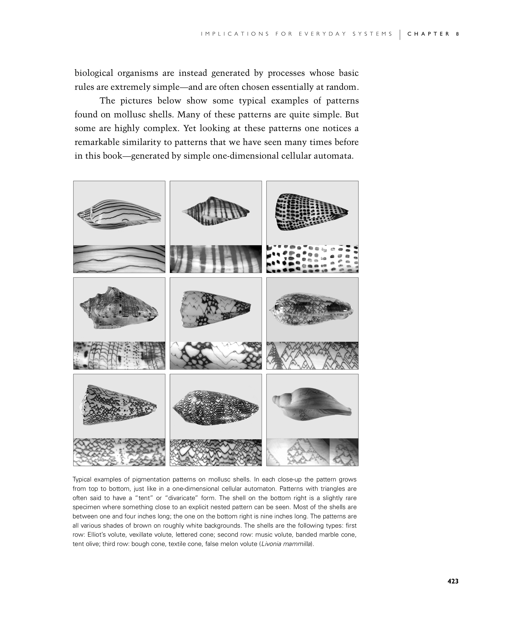 Page 423: Biological Pigmentation Patterns