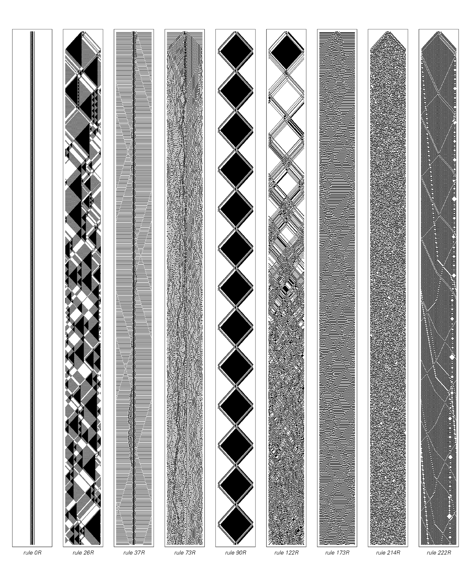 Reversible cellular automata with various rules