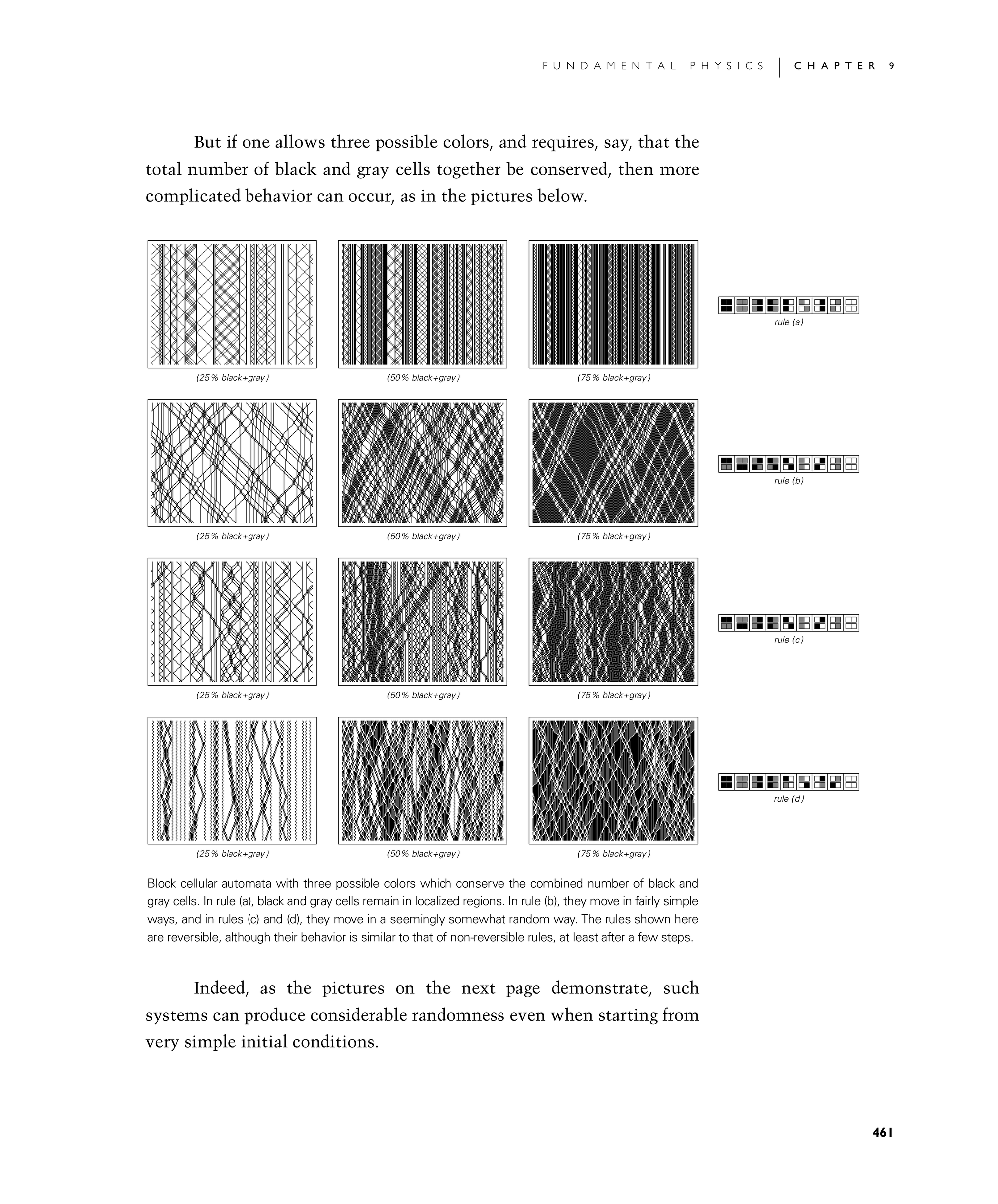 Page 461: Conserved Quantities and Continuum Phenomena
