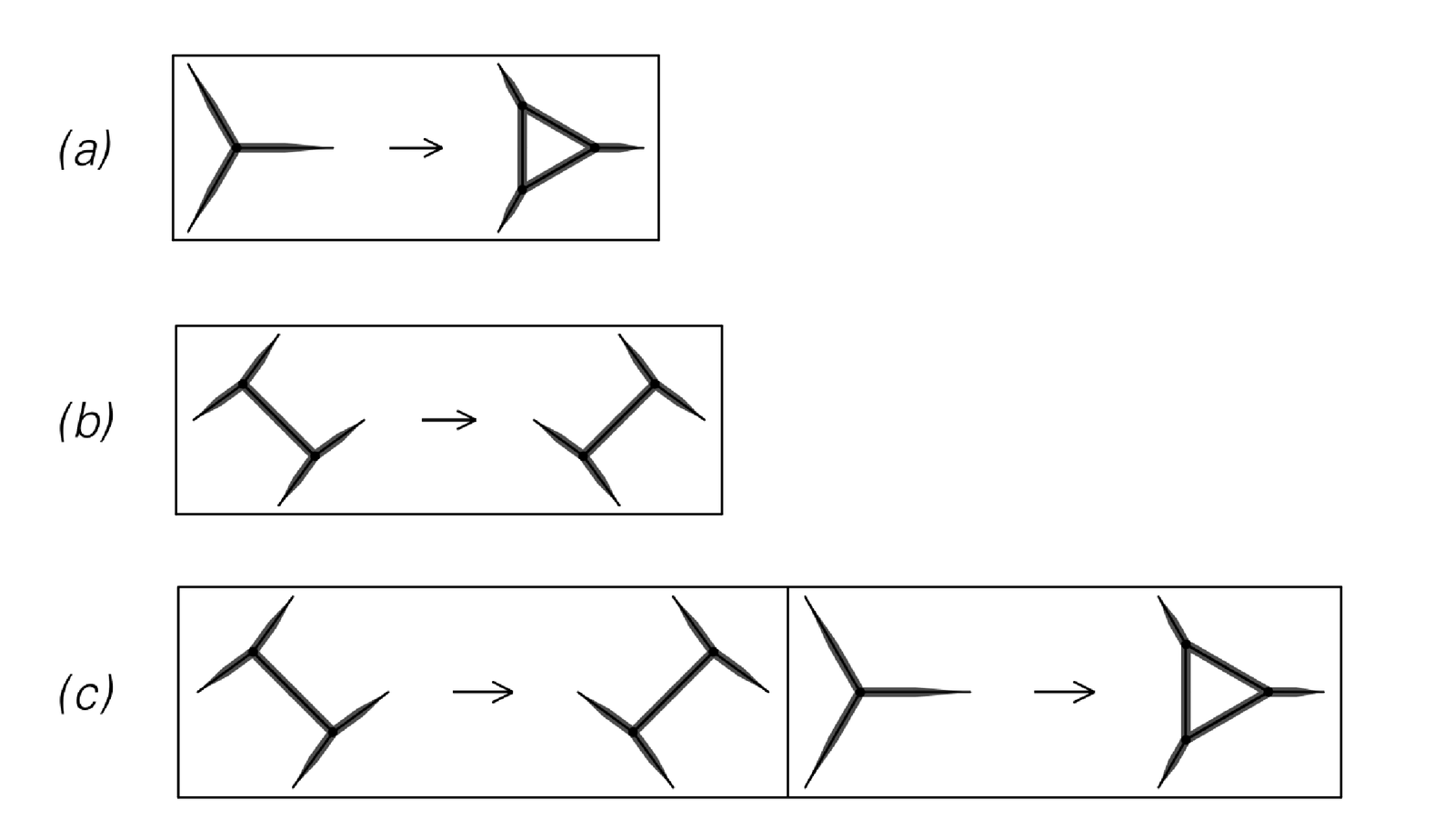 Examples of the evolution of networks in which a single cluster of nodes is replaced at each step according to the rules shown 3
