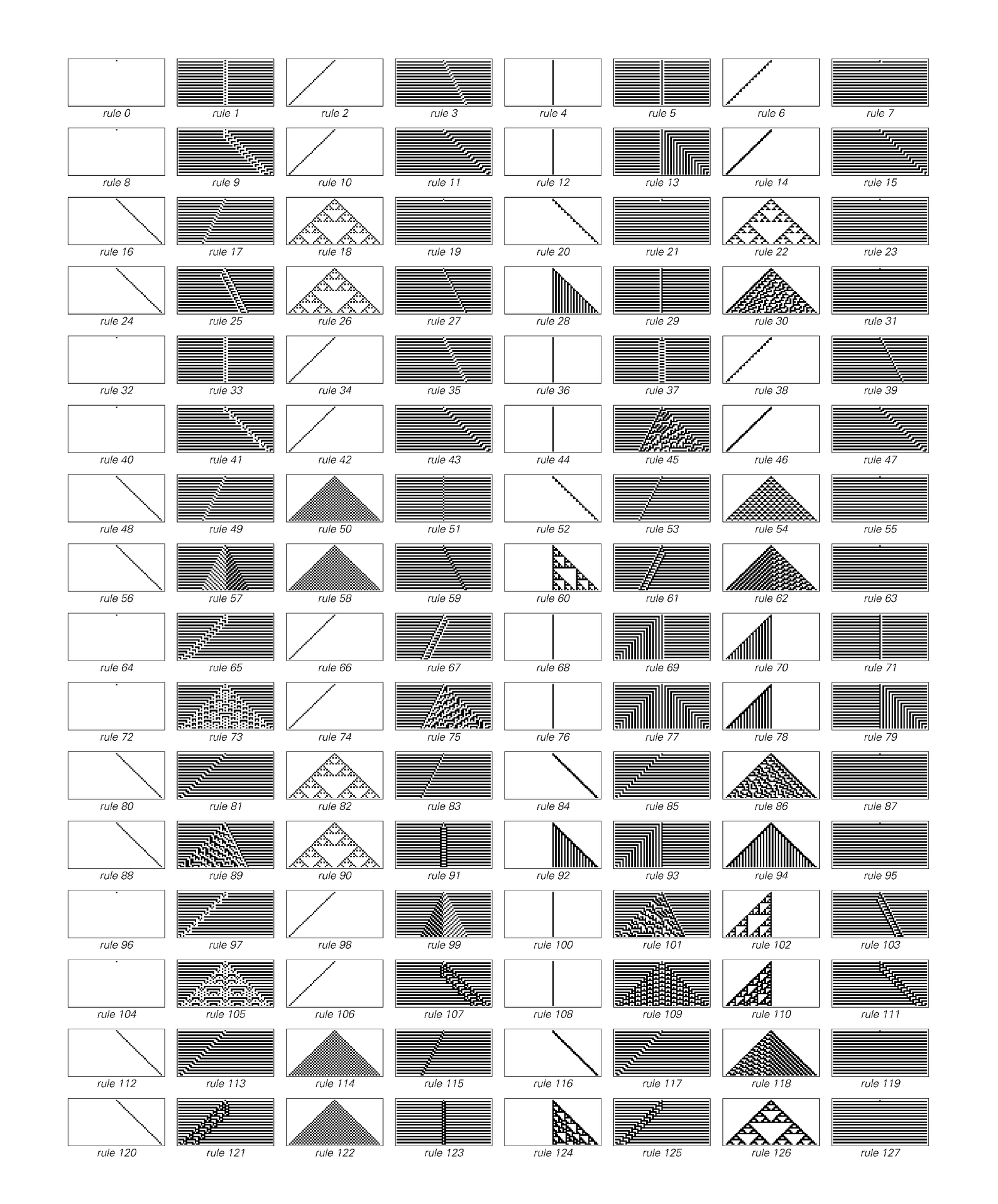 Evolution of cellular automata, continued