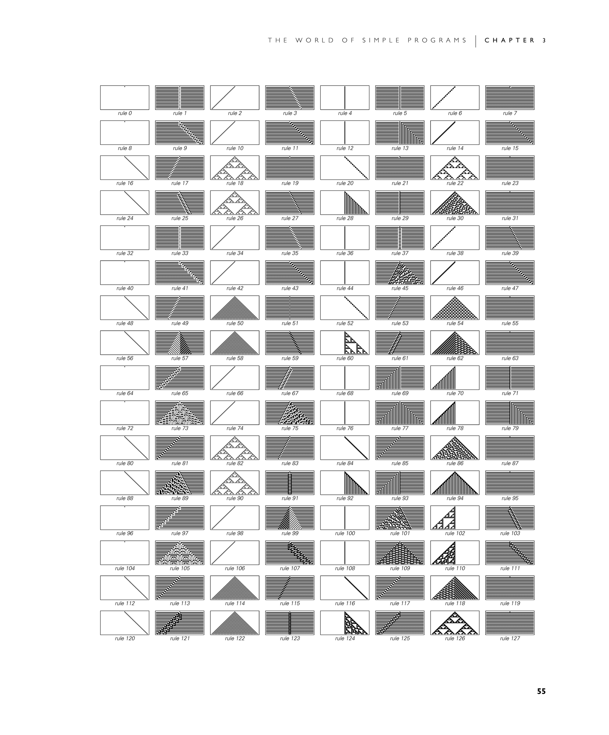 Page 55: More Cellular Automata