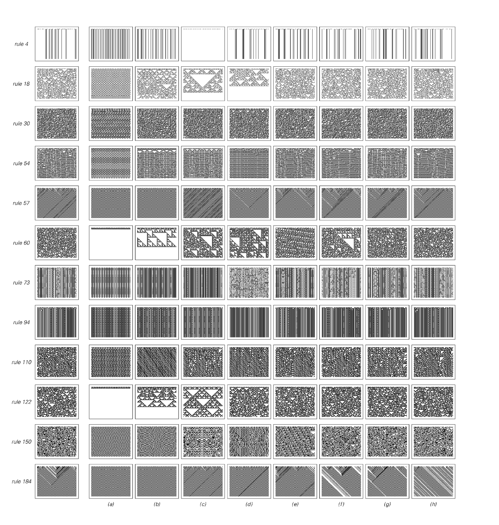 Examples of applying various rules for cellular automaton evolution