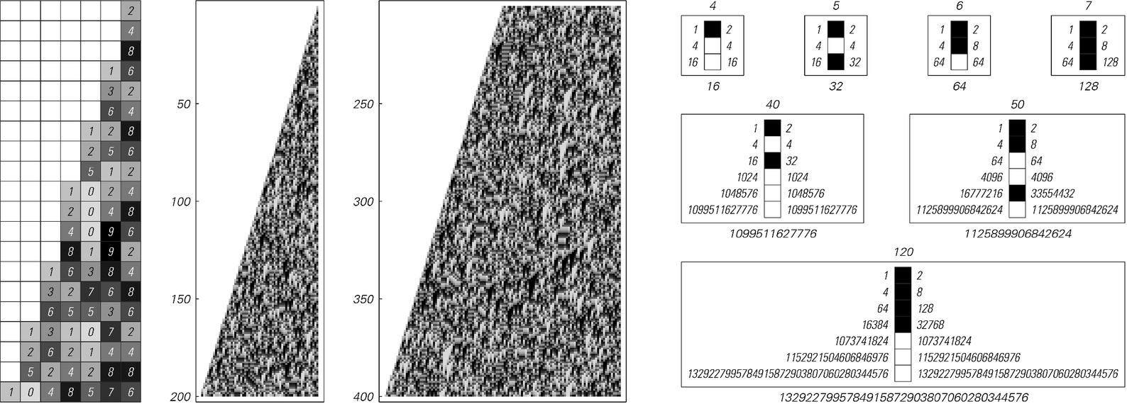 A system whose behavior looks complex but still turns out to be computationally reducible