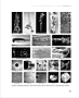 Page NKS0377.gif