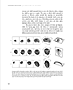 Page NKS0414.gif